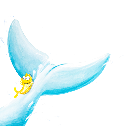zahnschiff-website-flosse